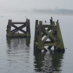 Misty morning on Cardiff Bay